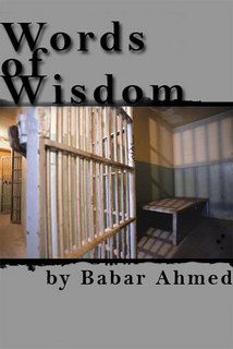 wordsofwisdomur3 - Who Will Stand up for the Muslim Prisoners?